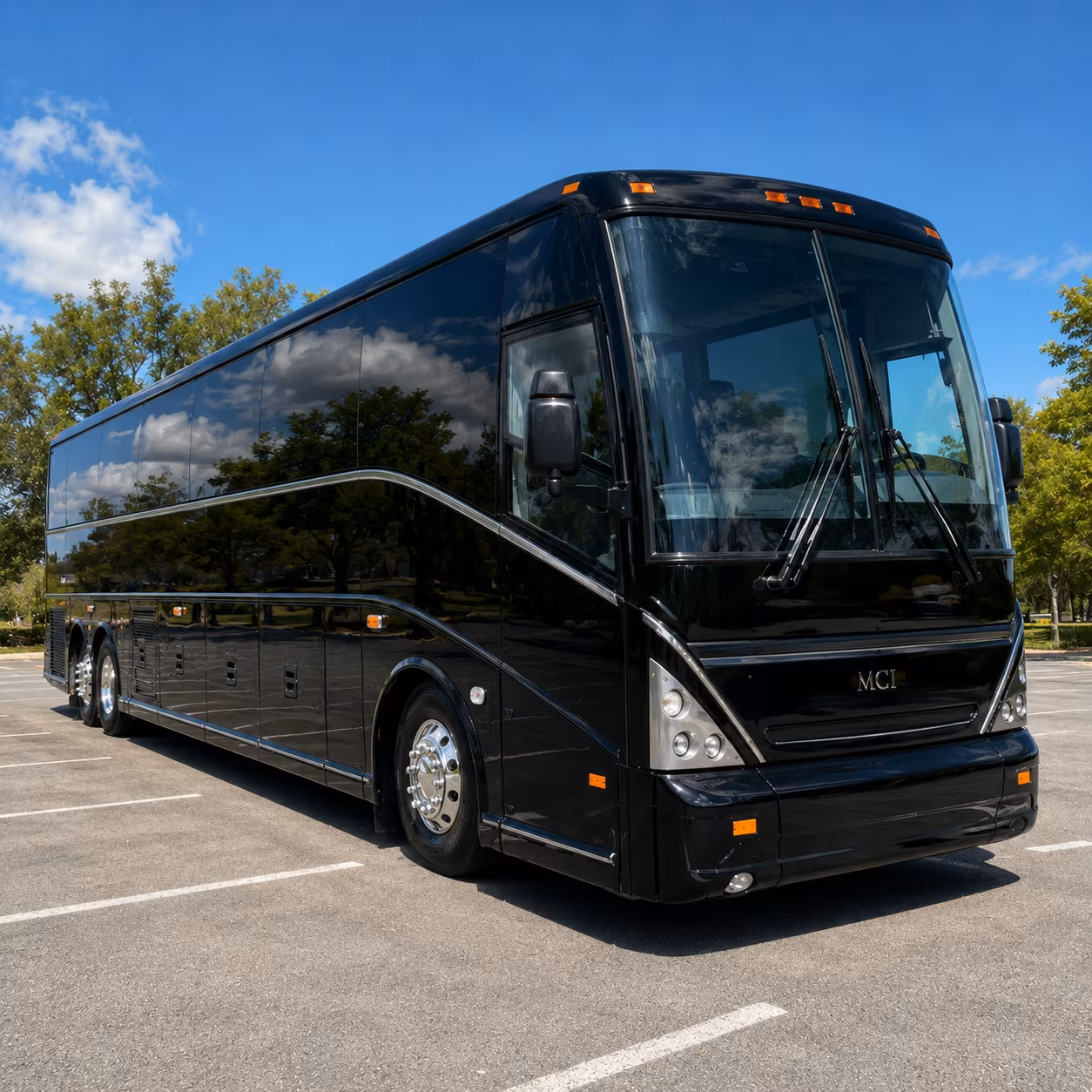 austincoachbuscompany com helps you get to zilker park the austin nature science center and the austin zoo